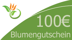 100 Euro Blumengutschein