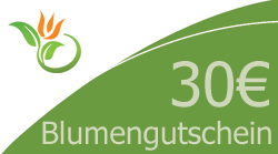 30 Euro Blumengutschein