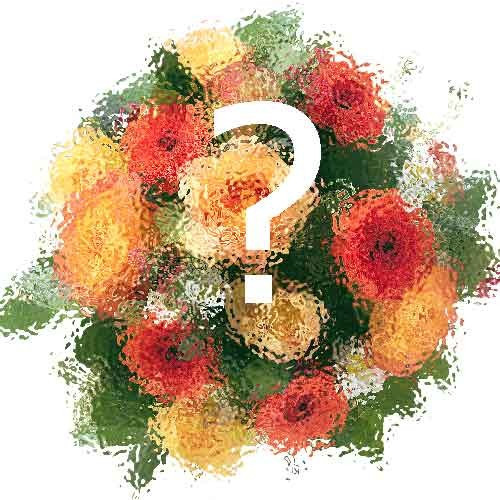 Blumenstrauß Blumen der Saison