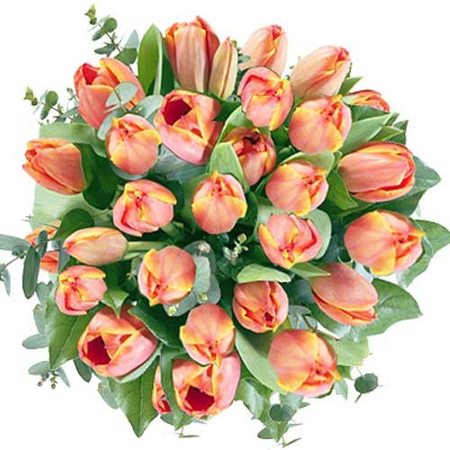 Blumenstrauß orange Tulpen