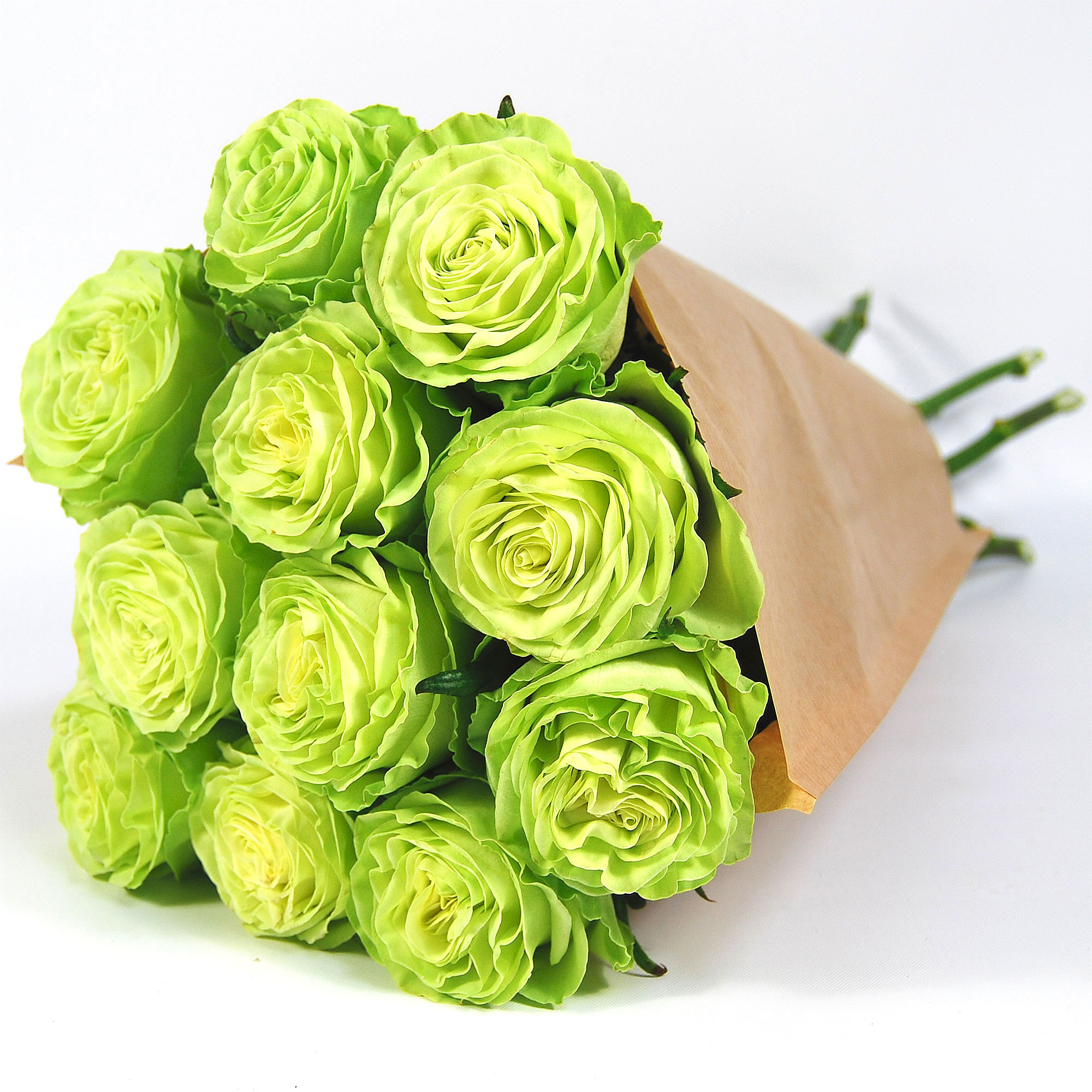 Blumenstrauß Rose Wasabi